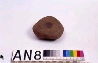 Anvil stone Collection Image, Figure 2, Total 2 Figures